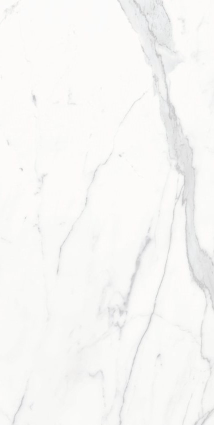 STATUS 60x120 - Image 4